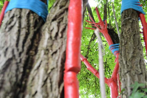 Francine GARNIER & Alain ENGELAERE - arbre